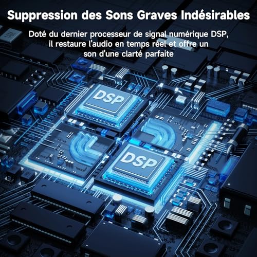 Enceinte karaoke 3 micro sans fil avec correction tonalité - 5