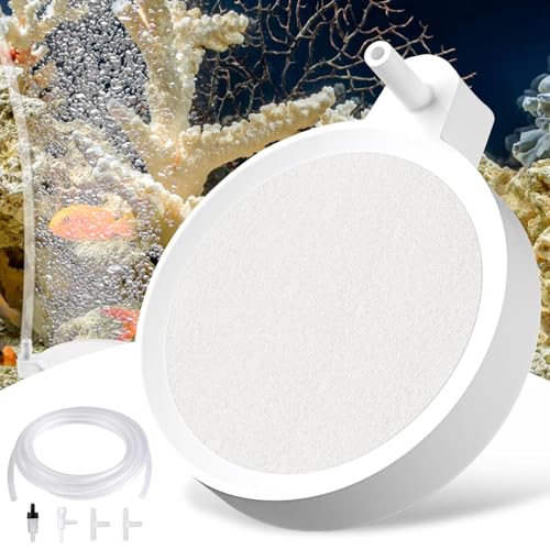 Sprudelstein Für Teich & Aquarium - Feine Blasen Für Mehr Sauerstoff