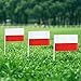 Poland Flag Polish Small Stick Mini Hand Held Flags Decorations 1 Dozen (12 pack)