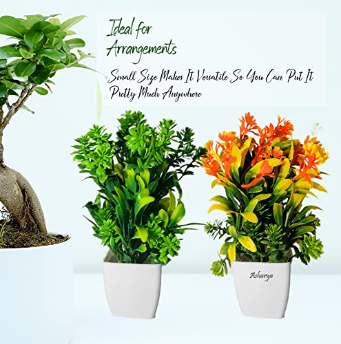 Image of Artificial Flower Plants for Home Decor - Set of 3 Mini Potted Plants in White Pots | Ideal for Living Room, Office, Indoor Outdoor Decoration