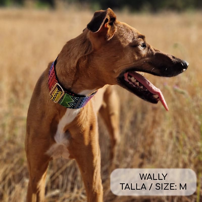 Collare Martingale per cani, Kenya, L