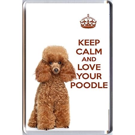 poodle gifts amazon