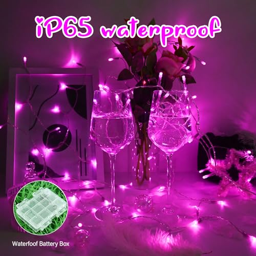 Bolweo Pink Fairy Lights Outdoor Waterfroof 10Ft 30 Led thumb #3