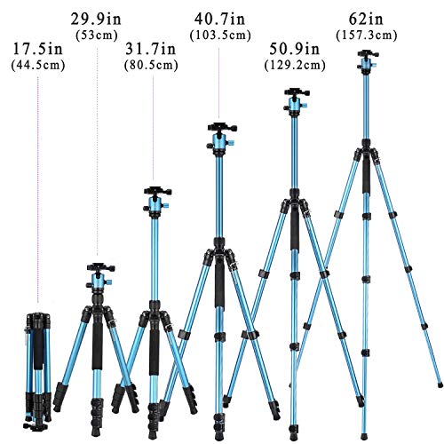 MACTREM Professional Camera Tripod with Phone Mount, 62" DSLR Tripod for Travel, Super Lightweight and Reliable Stability, Ball Head Tripod Detachable Monopod with Carry Bag (Blue)