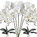 HinyoCo 5 Künstliche Phalaenopsis-Blumen,80 cm Künstliche Orchidee mit Künstliche Orchidee Blätter 2 Bündeln, Party, Büro, Terrasse, Hof, Heim-Blumendekoration (Weiß)