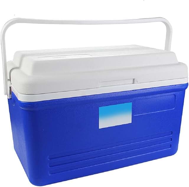 Amazon.ae portablecoolerbox