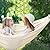 Chihee Cotton Hammock Large Soft Breathable Camping Hammock Holds Up to 660lbs Portable Tree Hammock with Detachable Spreader Bar Pillow 2 Strong Webbings 2 Carabiners Patio Garden Indoor Outdoor