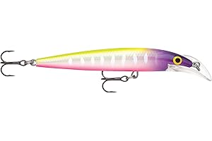 Rapala SCRDHJ10MFT: Scatter Rap Deep Husky Jerk 10 Moldy Fruit - This...
