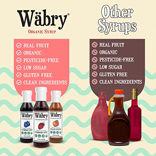 Image of Wabry Organic Strawberry Syrup - 14.9oz (420g), Natural Fruit Syrups for Drinks, Coffee, Shaved Ice and Ice cream, Vegan, Non-GMO, Gluten-Free Snow Cone Syrup - BPA-Free Plastic Bottle