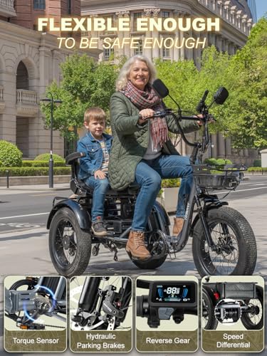 Creek Pro Folding Electric Tricycle for Adults, Etrike with