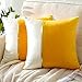 JOTOM Spleißen Lot de 2 housses de coussin décoratives en velours doré chaud - 45 x 45 cm - Pour canapé, lit, chaise, jardin, extérieur (jaune moutarde)