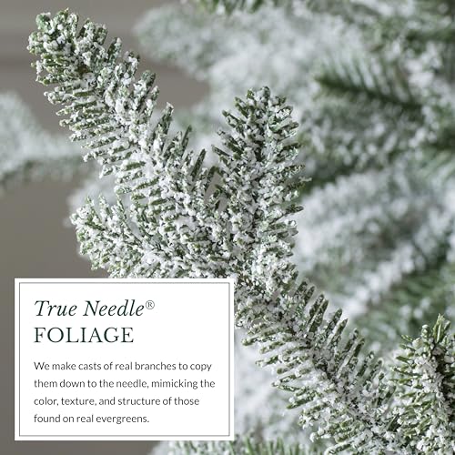 Image of Balsam Hill Frosted Alpine Balsam Fir - Snow-Kissed Artificial Christmas Tree with Pre-Fluffed Memory Wire Branches and LED Clear Fairy Lights, 6.5'