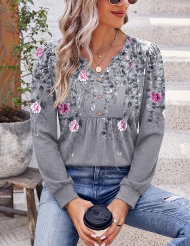 Image of Zeagoo Womens Long Sleeve Tops Fall V Neck Shirt Casual Pleated Tunic Top