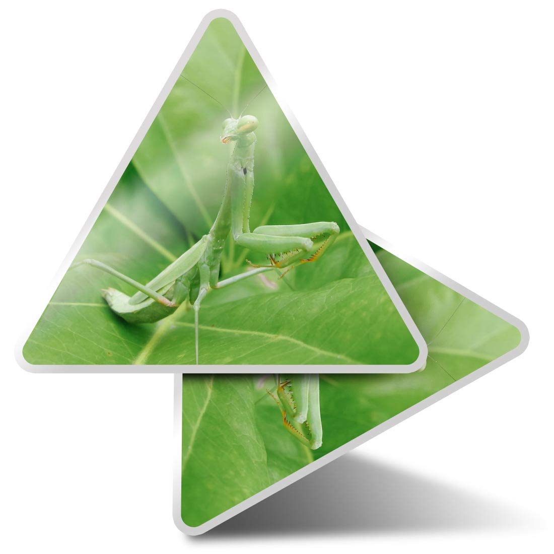 2 x Triangle Stickers 7.5cm - Praying Mantis Insect Nature Bug Fun Decals for Laptops,Tablets,Luggage,Scrap Booking,Fridges #46187