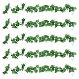 Guirnalda de hojas de uva: estas son las mejores decoraciones para bodas en el hogar, fondos de boda, cubiertas de centros de mesa, flores de de boda, flores de boda al aire libre, decoraciones, vides de uva para decorar