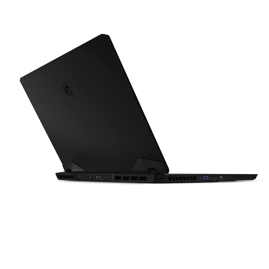 Amazon.com: MSI Vector GP66 Gaming Laptop: 12th Gen Intel