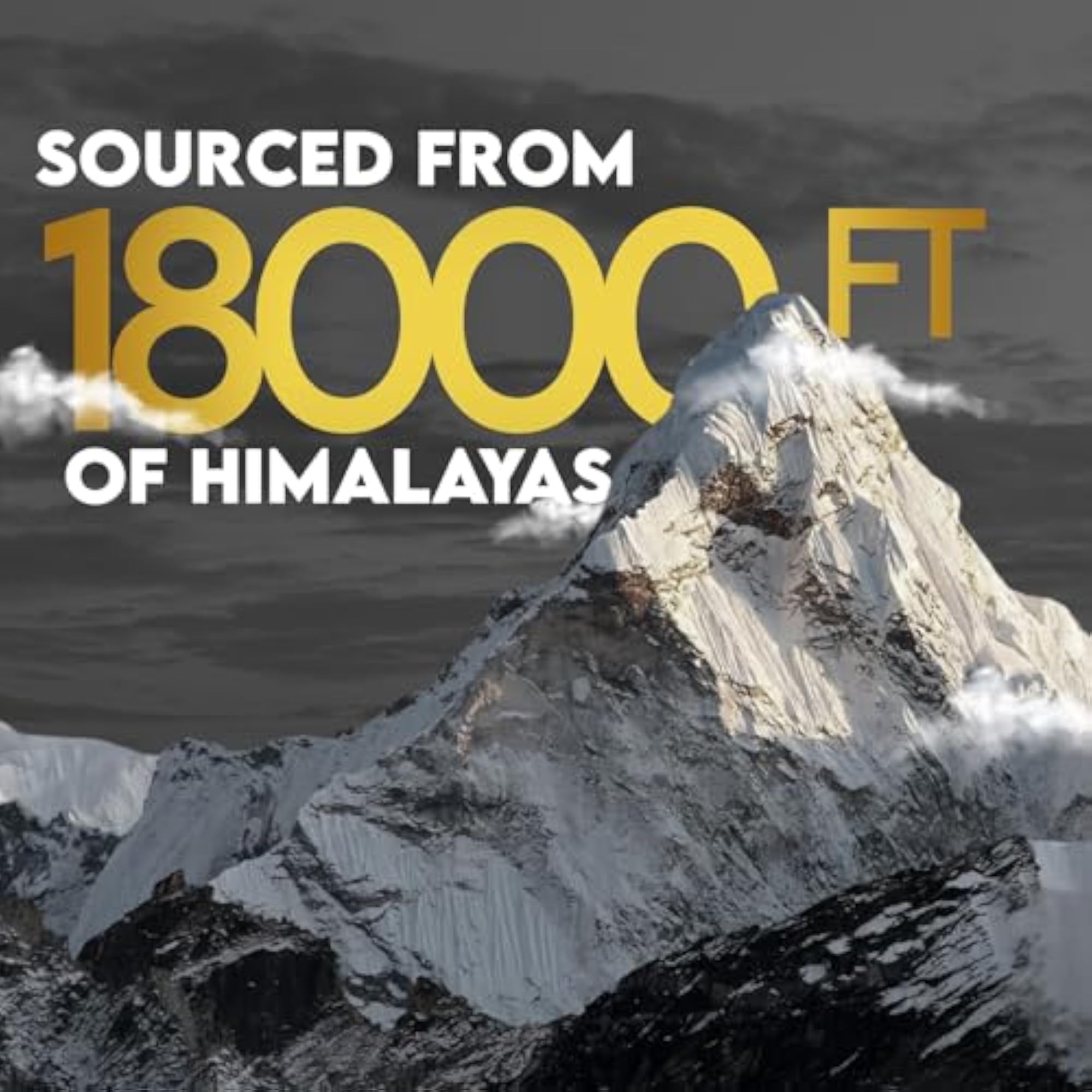Himalayan Shilajit Resin 20g for Performance Boost