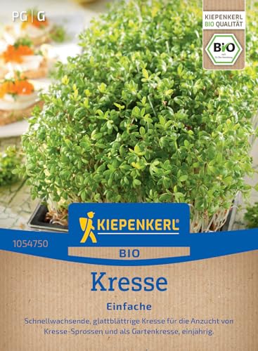 Kiepenkerl BIO Kressesamen Einfache 1054750 - Schnellwachsende Sorte - Kresse-Sprossen - Gartenkresse - Inhalt für 3-4 qm - Kräutersamen Saatgut