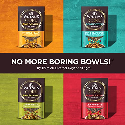 Wellness Core Bare Bowl Boosters For Dogs, Grain-Free Freeze-Dried Food Mixer Or Topper, Made With Natural Ingredients (Turkey, 4-Ounce Bag) #TOP4