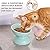 HCHLQLZ Green small Cat Bowl,Raised Cat Food Bowls Anti Vomiting,Tilted Elevated Cat Bowl,Ceramic Pet Food Bowl for Flat-Faced Cats,Small Dogs,Protect Pet's Spine,Dishwasher Safe