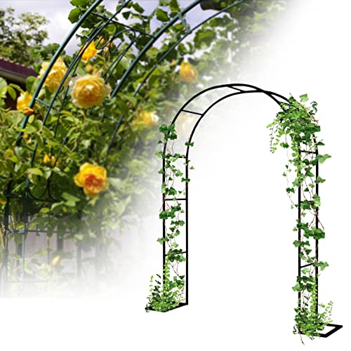 Pérgola de metal para jardín, el soporte ideal para tus vides y rosas 2