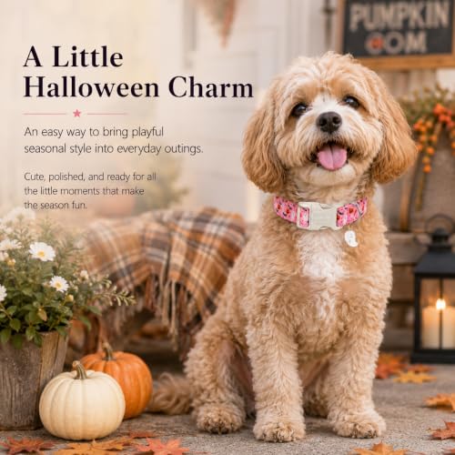 Image of ARING PET Halloween Dog Collar for Puppy Small Medium Large Dog-Pink M