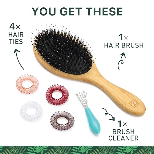 Zollo 701.ZOL.100 Natural Boar Bristle Hair Brush For Women, Men, Kids; Dry And Wet Detangling Hair Brush Gently Enhances Shine, Smooths Frizz And Prevents Breakage In Fine And Straight thumb #5