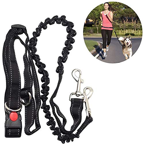 Correa manos libres para perros Adogo, cuerda extensible ajustable para la cintura que absorbe los golpes, para correr y caminar