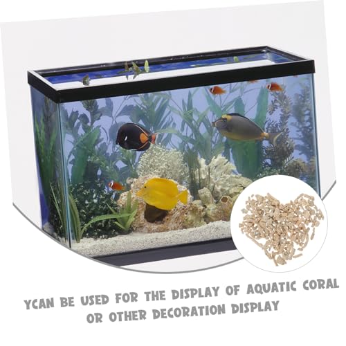 Concassé Aqua 1 pour créer un biotope d'eau douce relaxant