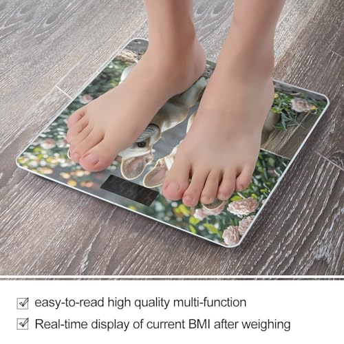 Báscula de baño digital con diseño bulldog francés miniatura 5