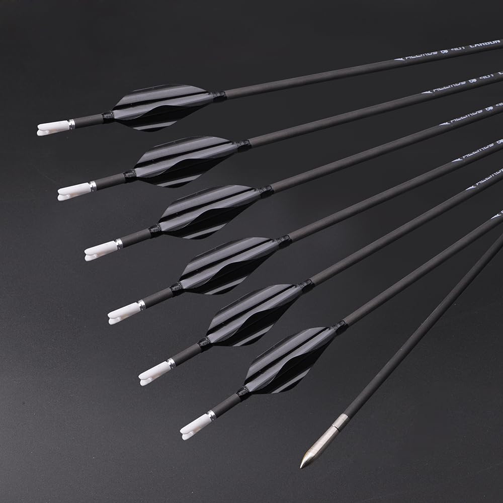 12 Pezzi Frecce con Piume a Spirale, Lunghezza Dell'asta 31 Pollici, ID 3,2 mm, Spine 800 (Black)