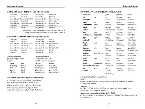Irish Verbs (Collins Easy Learning) (English and Irish Edition) - Image 5