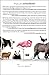 Animalkind: Remarkable Discoveries about Animals and Revolutionary New Ways to Show Them Compassion