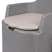 Depisuta Toilet Chair Headboard, No Slip with Solid Hollow Cube for Adults for Seniors for Pregnant Women Portable Toilet Water Easy Installation Stable Structure Cushion