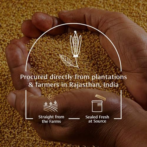 Image of VAHDAM, Yellow Mustard Whole (3oz /90g) Guten-Free, 100% Raw Whole Yellow Mustard Seeds Whole for Cooking & Pickles | Perfect for Cooking | Direct from Source