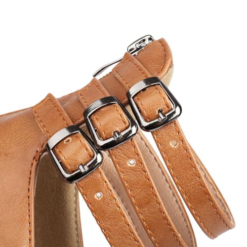 DINTAHA Vintage Shoes for Women,1950s Shoes Mary Jane Heels,Chunky Heel Strappy Pumps3