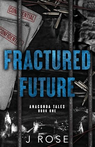 Fractured Future view 2