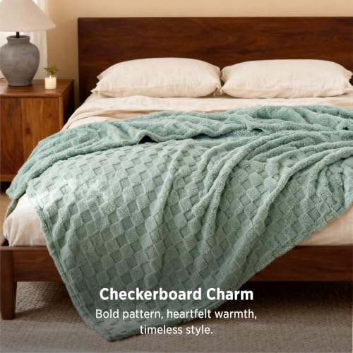Bedsure Checkered Shaggy Fleece Blanket, Sage Green Queen #TOP21