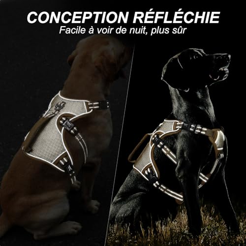 Image of HEELE Dog Harness, Escape Proof Dog Harness, Release on Neck, No Pull Reflective Adjustable Vest with Durable Handle, Dog Harness for Outdoor Training Walking, Dog Harness for Small /Active Dogs, S