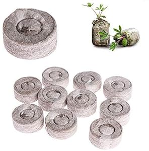 BoBoHome 50 Stück 30Mm Quelltabletten