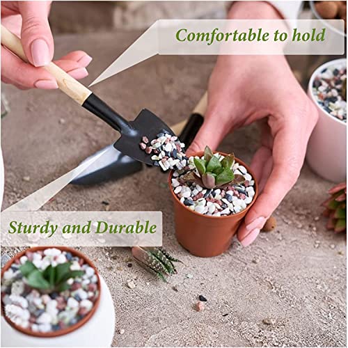 Juego de 3 herramientas de jardinería WishLotus mini miniatura 4