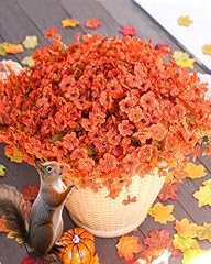 Orange(apple Green Leaves)