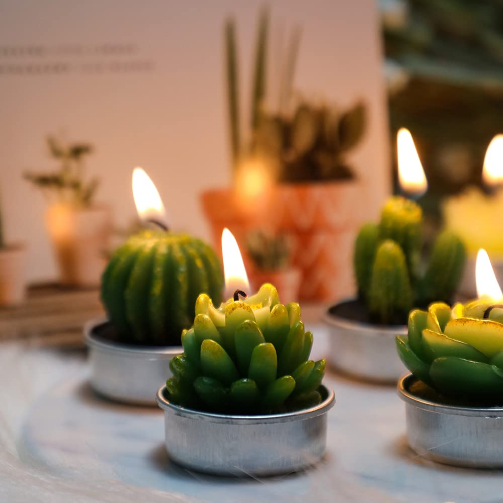 Juego de Velas de té de Cactus, Hechas a Mano, delicadas Velas de Cactus suculentas, Plantas suculentas Artificiales para Fiestas, Festivales, cumpleaños, decoración del hogar (24 Piezas)