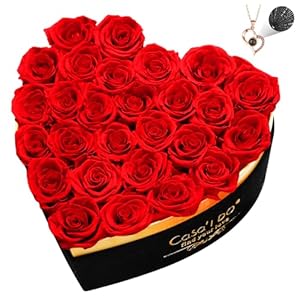 Preserved Roses Flowers for Deliver...