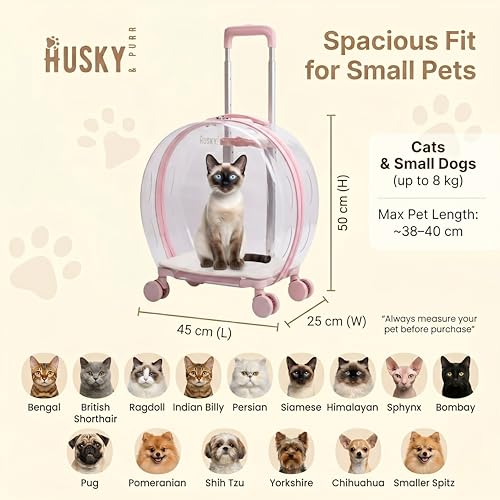 Image of Husky & Purr PopGo Pet Carrier with Wheels for Cats & Small Dogs | Transparent Cat Bag Carrier Trolley with Telescopic Handle | Dog Carrying Bag, Up to 8kgs, Pink