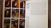 Grzimek's Animal Life Encyclopedia: Volume 2: Insects B007UPCOH0 Book Cover