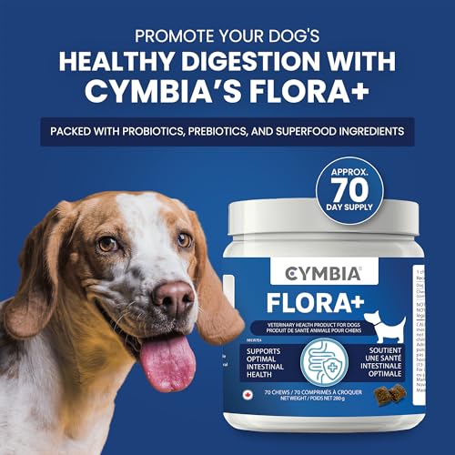 Cymbia Flora+, Microflora Digestive Health Supplement for Dogs - Prebiotics & Probiotics for Dogs - Supports Gut Health & Immune System - Active Blend Floramuno Boost+, Approx. 70 Days Supply - Image 3