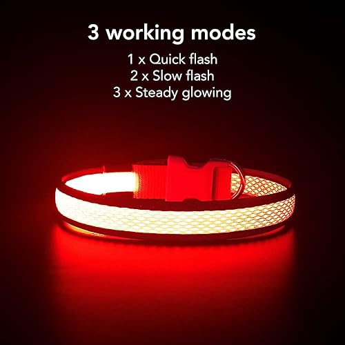 Miniatura 2 de YFbrite Collar de perro con luz, collar de perro LED recargable, collar de perro intermitente, collar de perro reflectante ajustable de seguridad