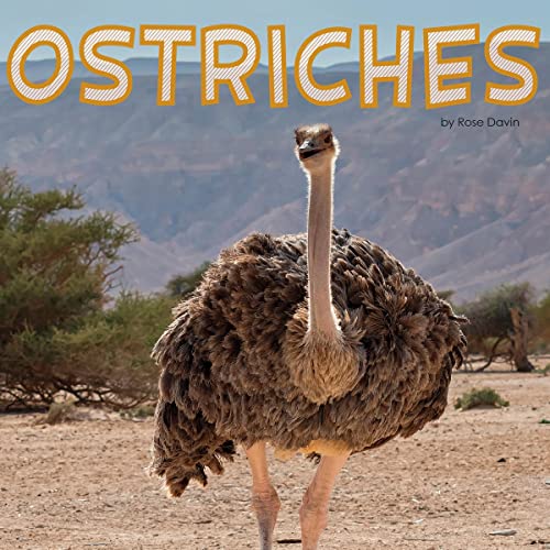 Tune In To A Full Audiobook That Is Simply Must-Listen.