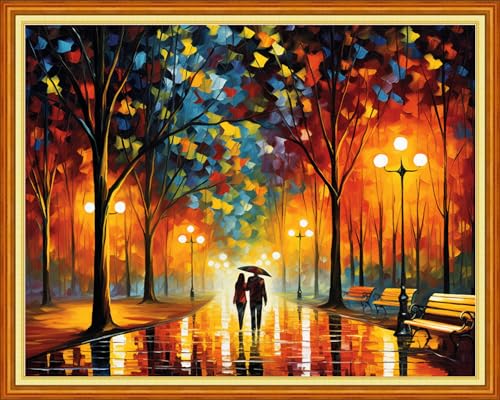 Image of Dooxvey Cross Stitch Kits for Adults, 16x20 inch, Embroidery Kits, Modern, Unisex, All Seasons, Cotton, People, Strolling on a Rainy Night
